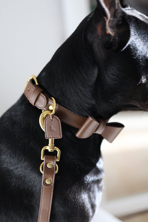 Collier en cuir pour chien tendance et luxe couleur espresso