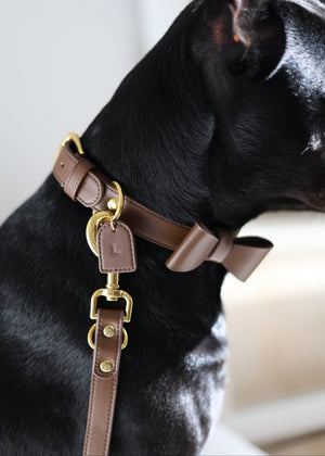 Collier en cuir pour chien tendance et luxe couleur espresso