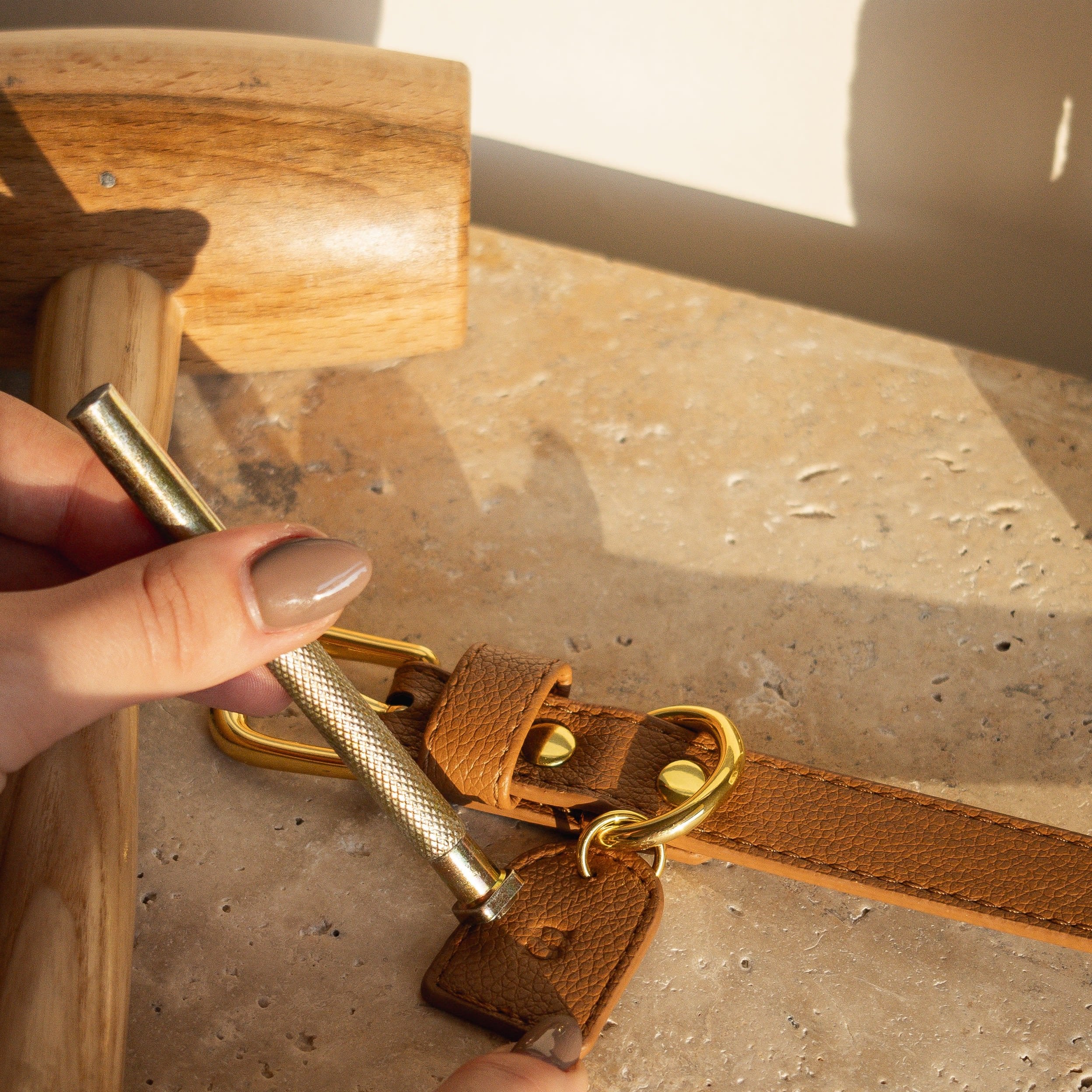 Personnalisation des accessoires pour chien en cuir