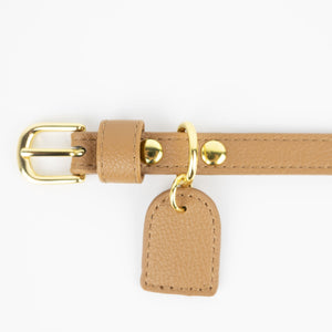 détail médaille en cuir marron collier pour chien France