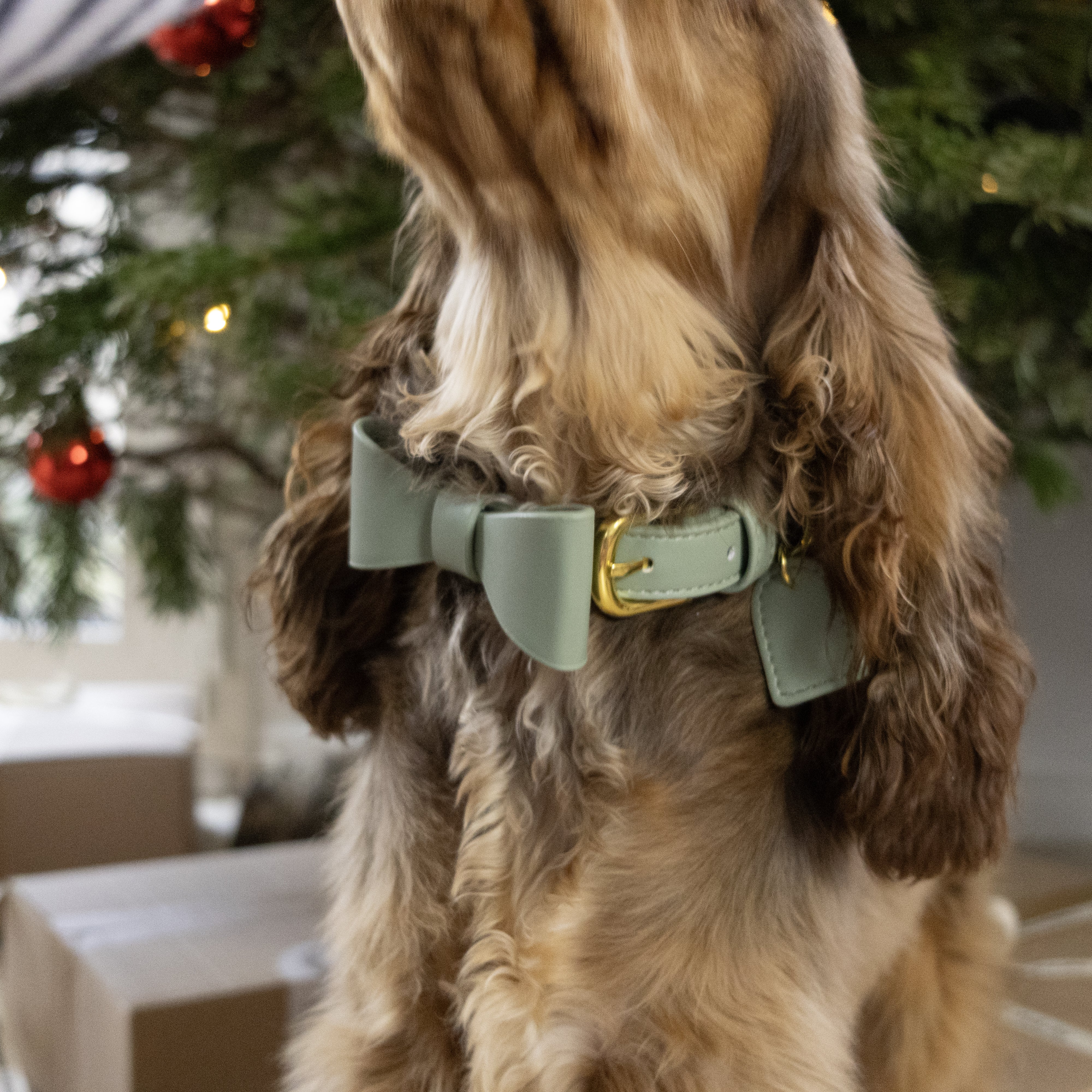 Photo détail collier pour chien en cuir avec nœud papillon pour noël