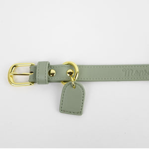 photo détail médaillon en cuir colliers pour chien de luxe