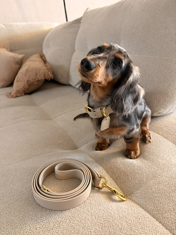 Tellement fan de cette marque !