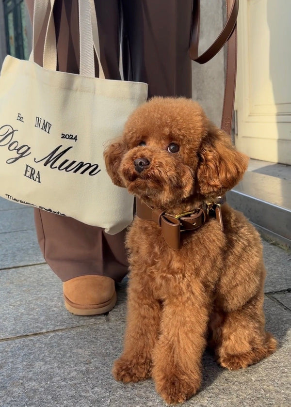 Maurice loves accessories