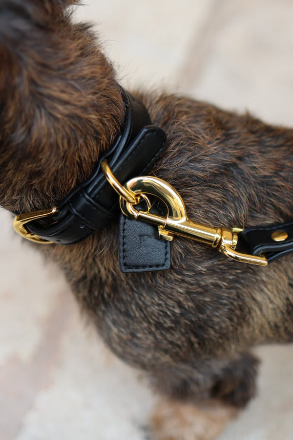 Paco - Collier black