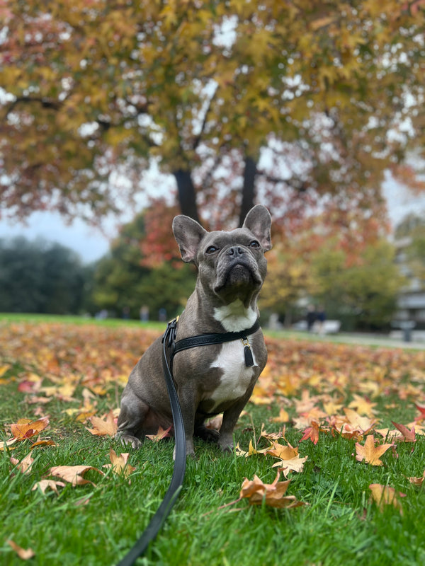 Je suis très contente de mon achat !