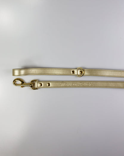 Laisse Gold