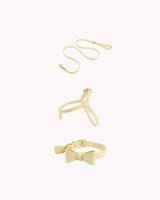 LAISSE + COLLIER + HARNAIS