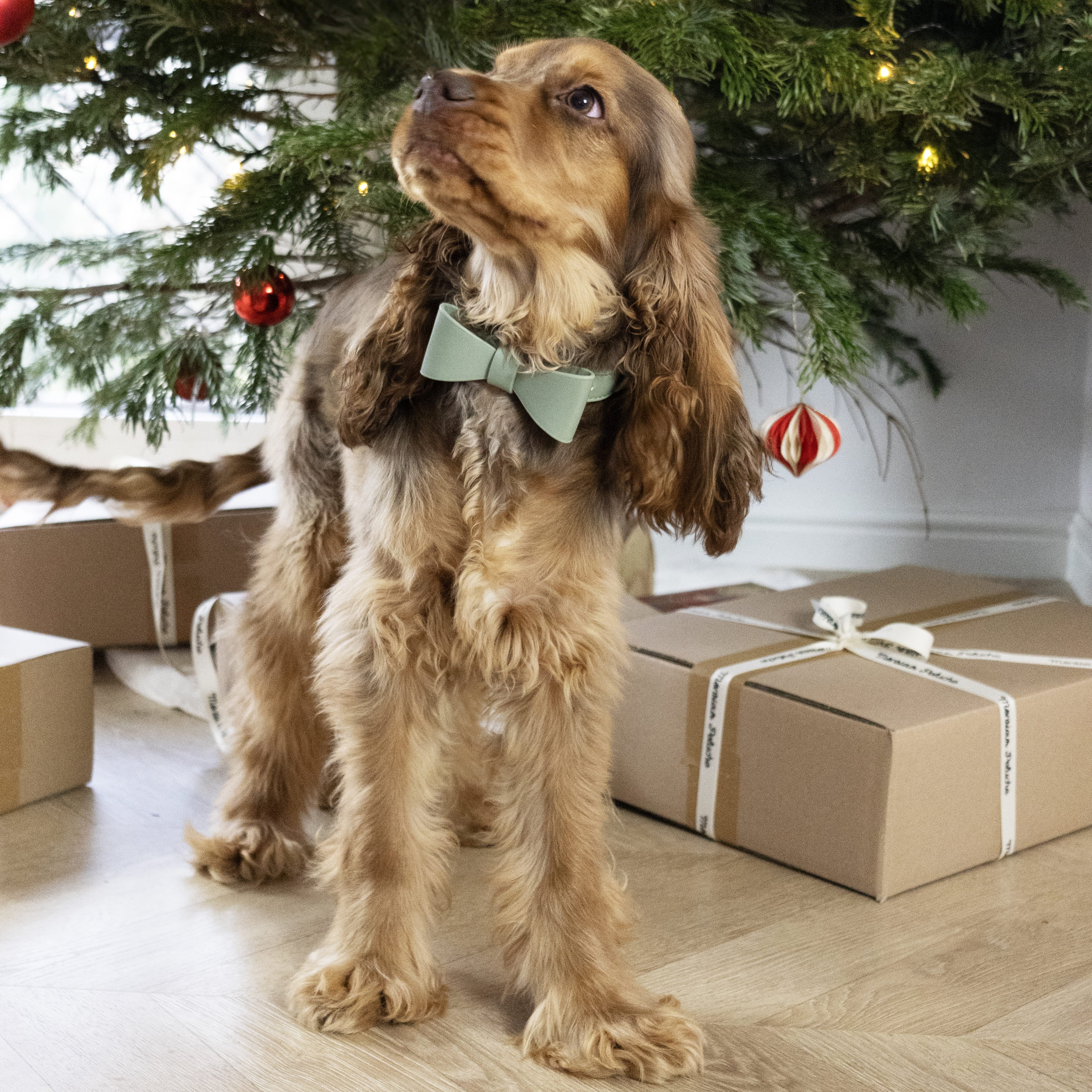 colliers pour chien de luxe en cuir avec nœud papillon clipsable pour noël 