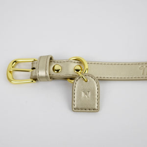 photo produit colliers personnalisable pour chien 